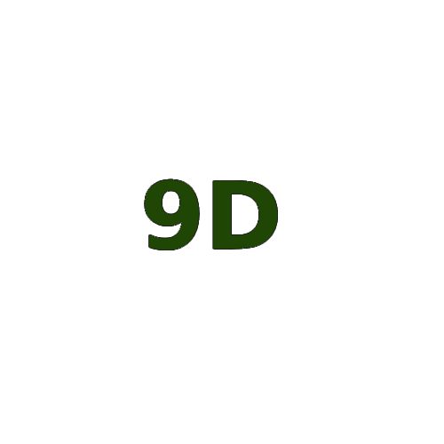 9D