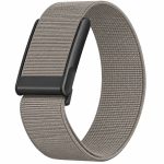 stone-gray