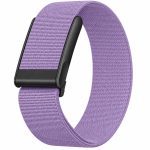 light-purple